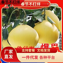 һ�����l��h�ĵ����Ә�������Լ޽��ϱ���ͥԺ�����ش�������