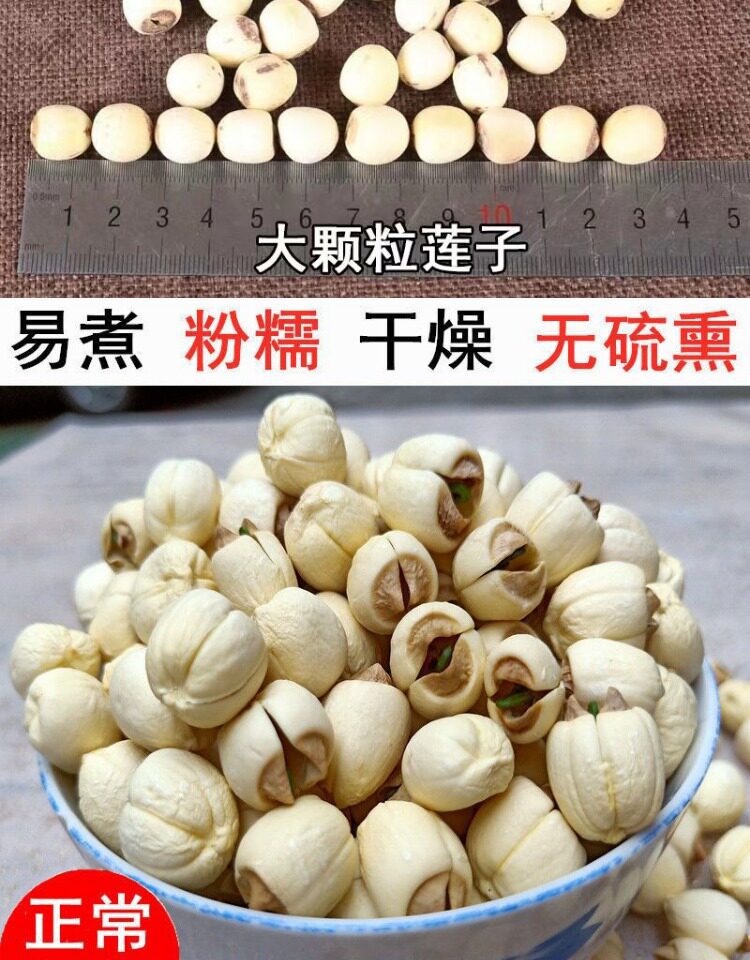 Premium White Lotus Seeds with Core Bai Lian Zi 500g Dried Xiangtan Lotus Seed Kernels for Soup and Tea specifications