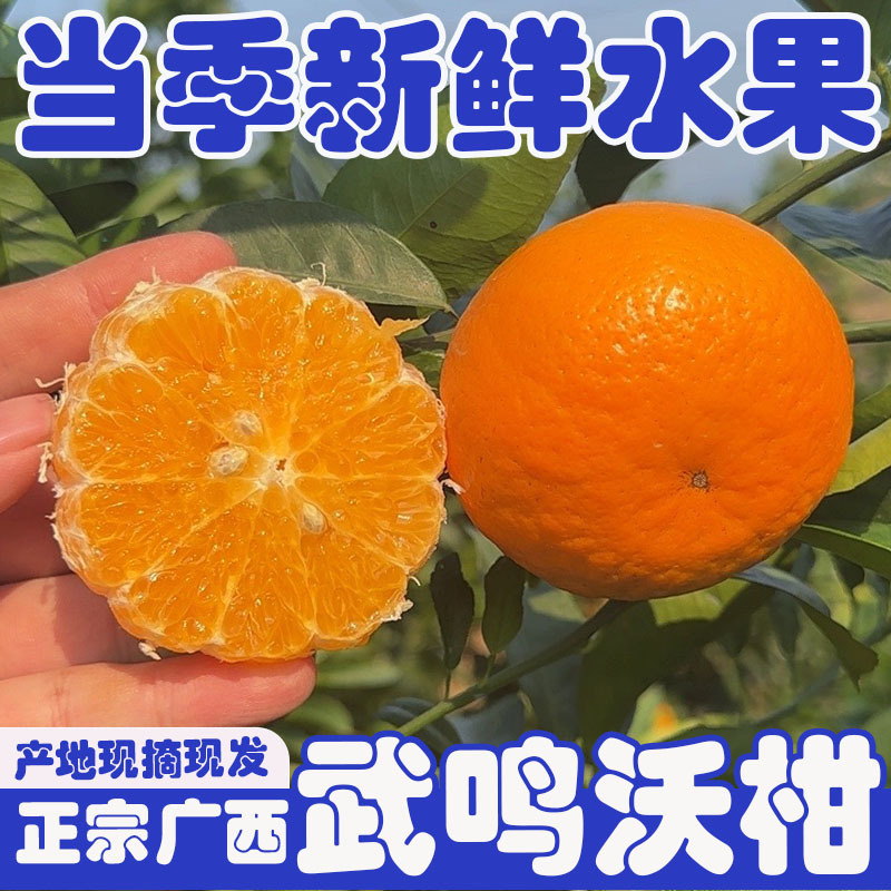 广西武鸣沃柑斤新鲜水果当季整箱沙糖蜜橘砂糖柑橘橘子桔子