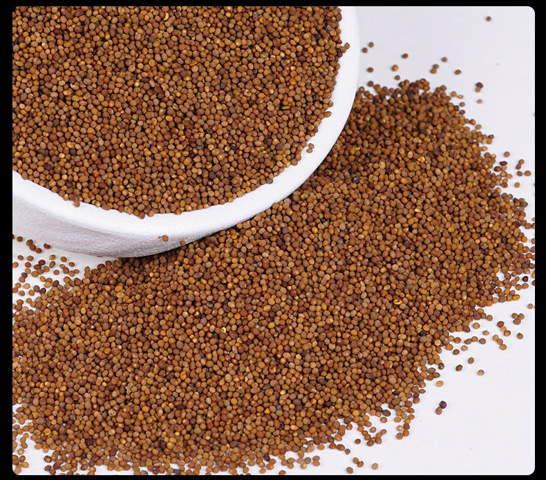 Tu Si Zi (Cuscuta chinensis) — Dried Food Herb Seeds, Washed & Unsulfured, 500g in use