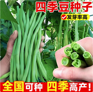 ����o�ܰ����ض��N�Ӳ�����ļ������̨СԺ�����ԷNֲ�߲˷N��