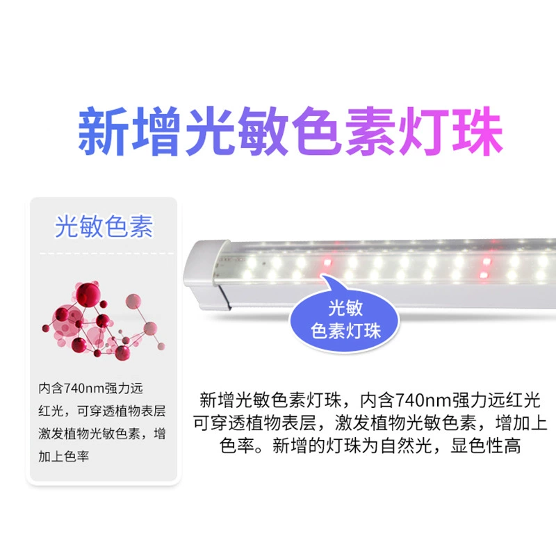 LED-лампа полного спектра для выращивания внутри помещения tissue culture овощей tissue culture растений коллоус водонепроницаемая лампа для роста растений фотосинтез