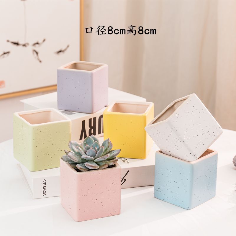 6 macetas de cerámica carnosas personalidad simple fresca pequeña maceta de color cuadrada balcón carnosas una pieza