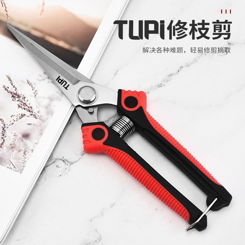 剪刀 修枝剪新款不锈钢省力稀果剪葡萄剪椒摘火龙果蔬菜农用工具