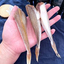 С�~�~�ɼt��t�^�o�^���r��؛���l��ɼt�������~ɽ�|�L�����r