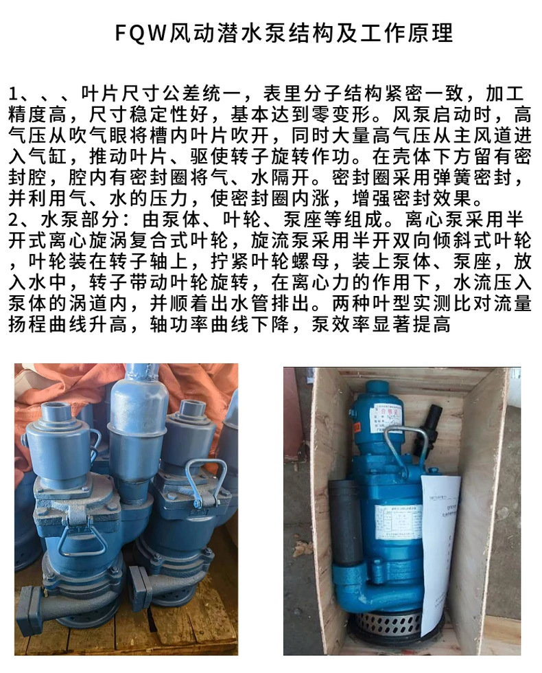 风动潜水泵 (7)