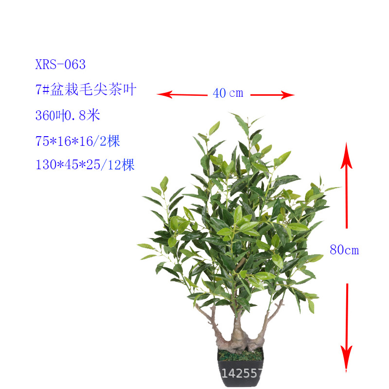 XRS-063 7#盆栽毛尖茶叶360叶1.jpg