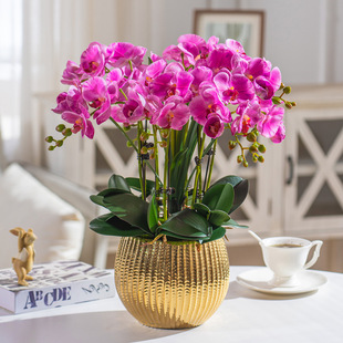 PU�ָб����������m�߶˲廨���ԾƵ���ù�˾ǰ̨�ߙn�ٻ��[��