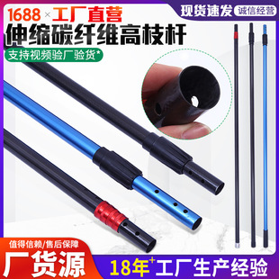 �S�����l�๦�ܸ�֦���U ���P���s̼�w�S��֦�U �@���޼�����