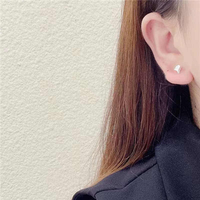 Earrings, jewelry, small design set, high-end