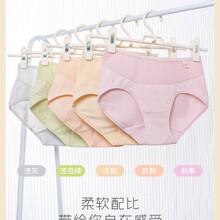 ����1103���N��d�����m����Ůʿ���ǃ�ѝ���޵יn��ˬ͸�⺆�s��