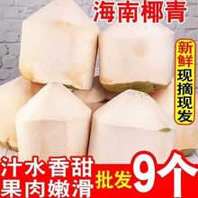 椰子海南椰青去皮青椰奶香水皇椰子鸡汁水果文昌整箱特产批发