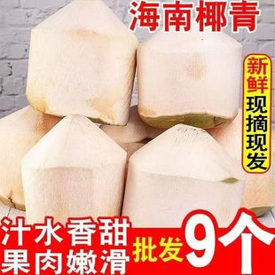 Ҭ�Ӻ���Ҭ��ȥƤ��Ҭ����ˮ��Ҭ���u֭ˮ���Ĳ������خa���l