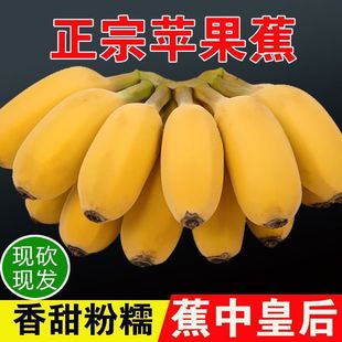 �O���㽶�ش�����r10��������Ȼ��V�|�۽�ˮ���V���ʵ�С�װŽ�