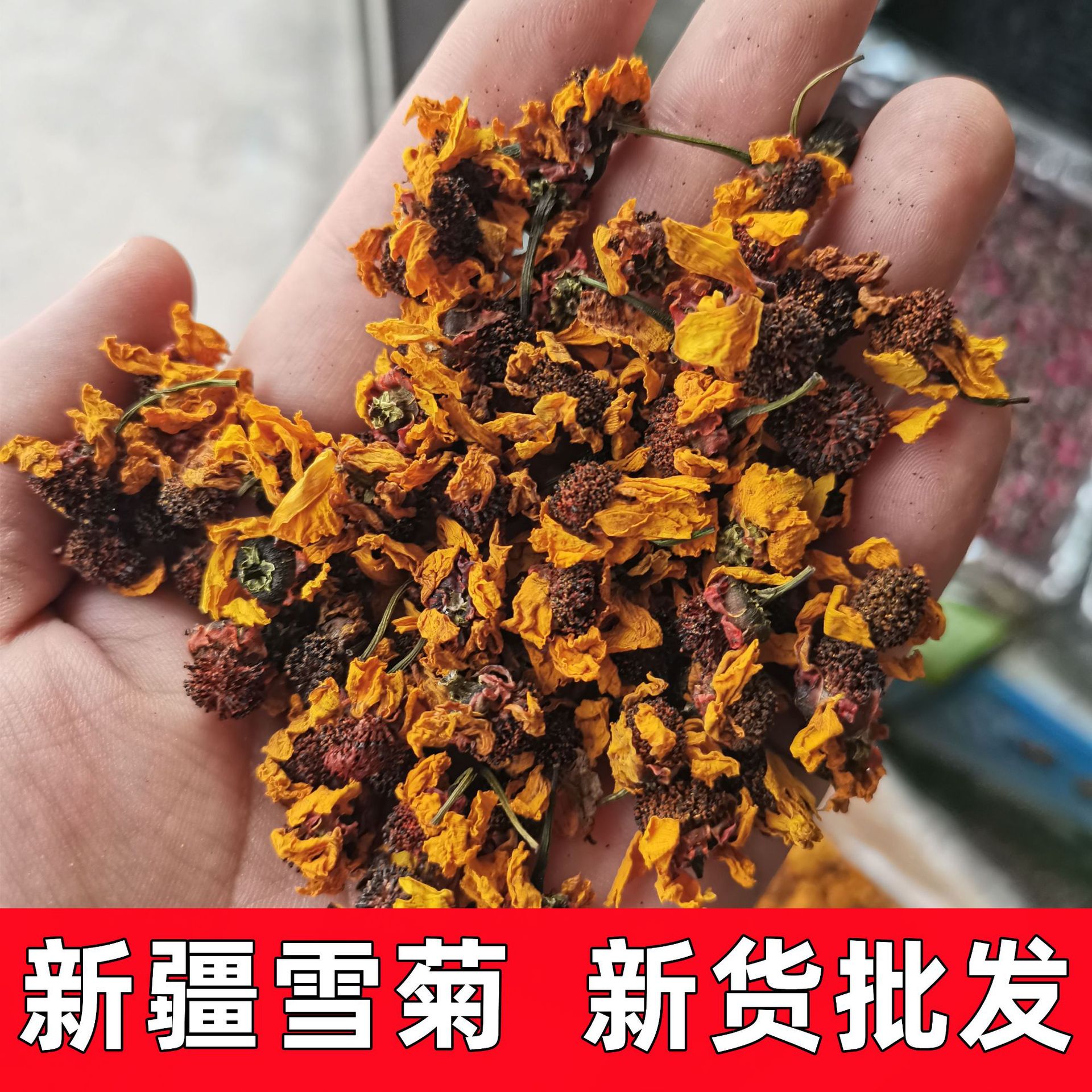 崑崙雪菊散裝批發 新疆天山雪菊胎菊 天山血菊另售菊花茶散裝花茶