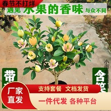 һlЦԘ玧̨҃㽶ͥԺļ