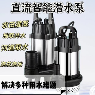 �oˢֱ����ˮ��48v60v72v늄�܇�ƿ܇��ˮ�ù�șC��ˮ��ֱ����