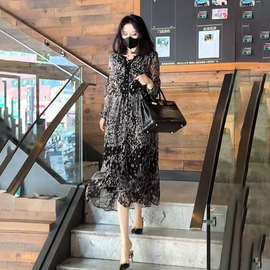气质V领印花桑蚕丝连衣裙女2025春季新款宽松显瘦真丝长裙子