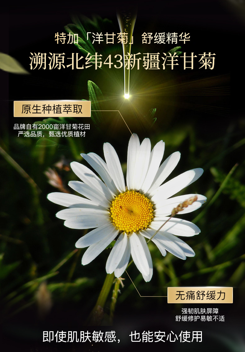 椰椰清茶磨砂膏_06