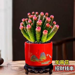 ����ֲ���������^��ϲ�c��ɫ�X����ؔ���Ի����҃������b�����