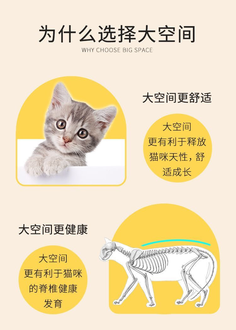 26d88c8e-a095-45e5-893d-bb557cc85ee9.jpe