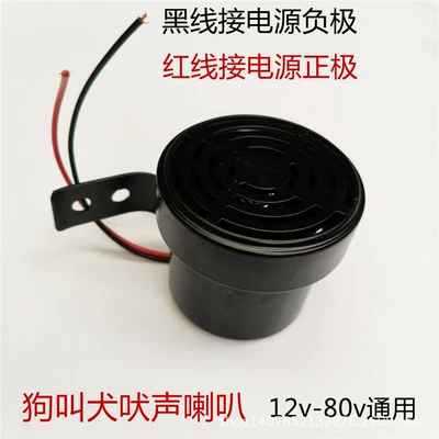 reversing modification, Car horn/tweeter