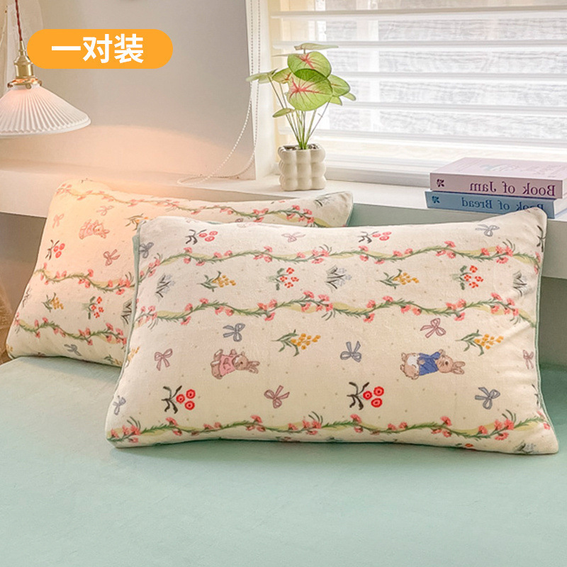 Funda de almohada de terciopelo de leche de invierno, un par de fundas de almohada de terciopelo de coral grueso, una sola funda de revestimiento de núcleo de almohada para niños 48x74 2
