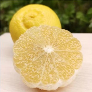 ��ɽ�����Ӵ������S��ؕ�֮������r�Fժ�F�l5��10��С����