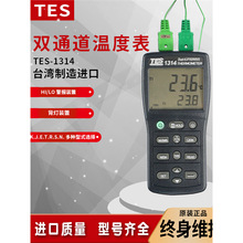 泰仕TES-1314温度计双通道温度仪温度测试仪1314可用N型探头进口