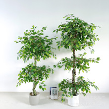 �羳�Ř��Ҹ���Ҿ��҃ȸ߶˷���Gֲ���� ins�����ϙ��[���٘�