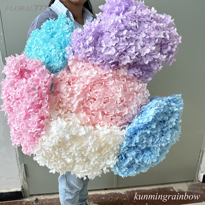 Immortal hydrangea float color whole branch single Anna hydrangea wooden hydrangea big leaf hydrangea Anna with branch hydrangea