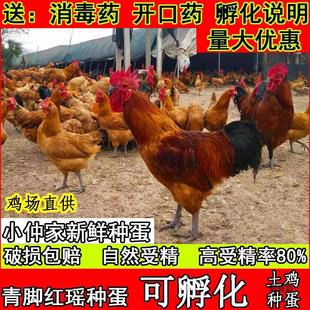 ���u�N���ܾ����ɷ����t���N���ܾ��u���ɷ������u��10ö����]