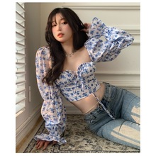 2025ﶬ黨ԸзIԸзʽOӋL¶̿¿