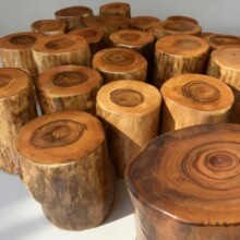 ����ľ��՘䘶ľ����������ԭľ���ܸ����׌�ľ���������ľ��