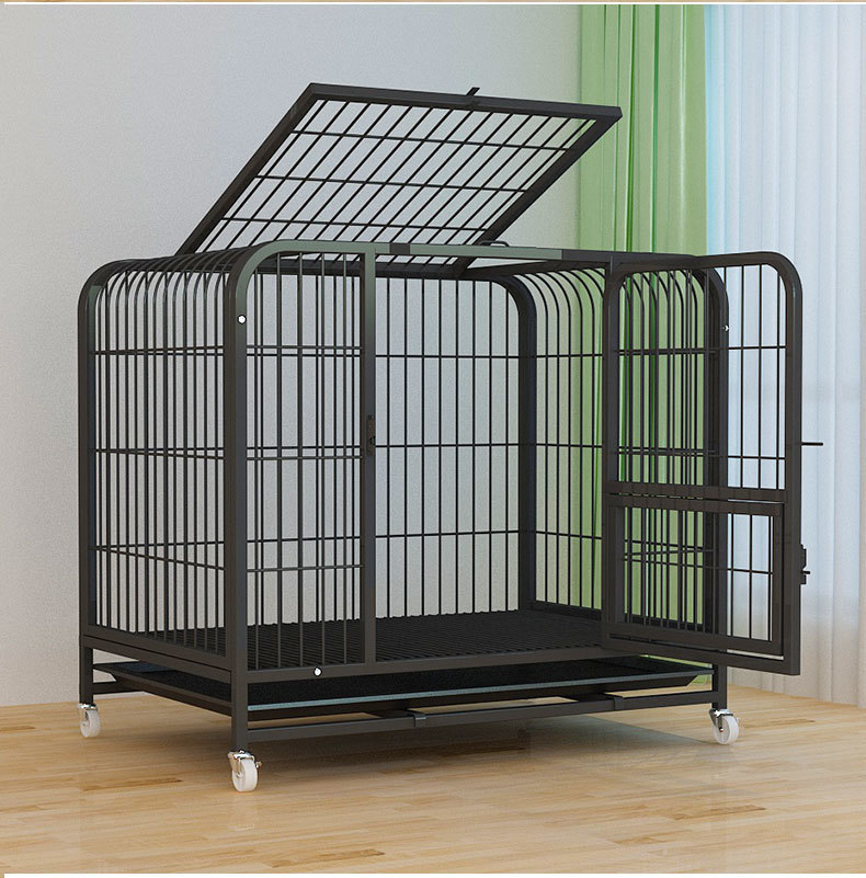 790bf3ec-ed7d-4f10-8b78-8d40860a07f0.jpe