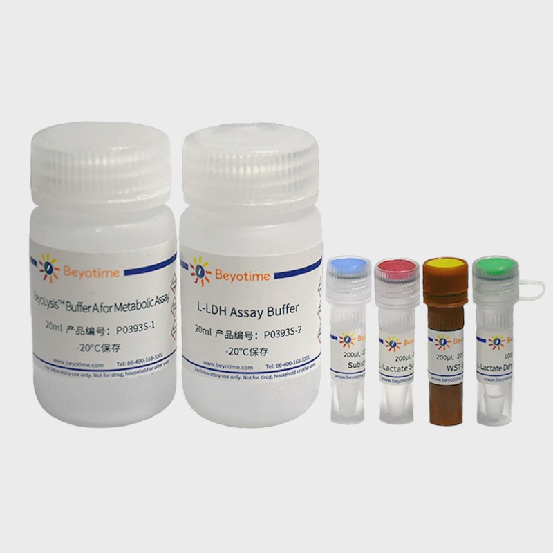 P0393S L-乳酸脱氢酶检测试剂盒(WST-8法) 100次