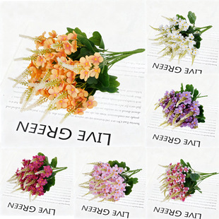 ����ѻ����Ļ�������c�ҾӾƵ��b羳������廨�Ĕz�ٻ�����