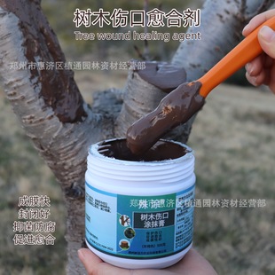 ��ľ�������τ��TĤ���������z�T�a��ֲ��TĨ��޽��޼����]��