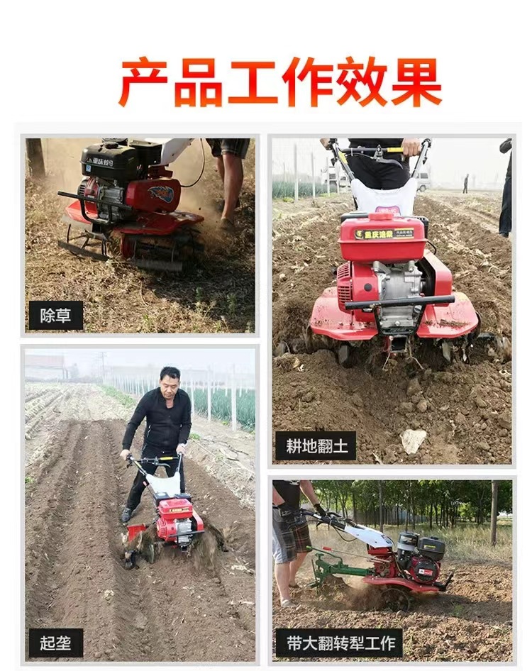 微信圖片_202403232155171