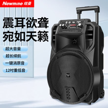 纽曼N509广场舞音响12寸大功率户外移动便携式家用手提蓝牙音箱