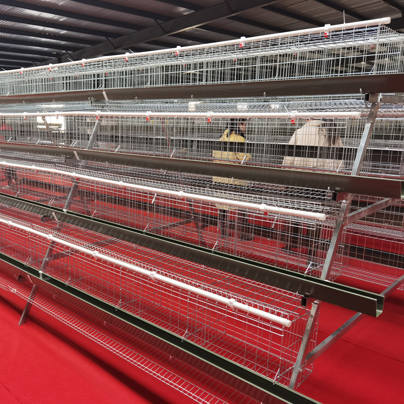 Capacidad de cría de gallinas de huevos de cuatro capas y cuatro puertas de gallinas para criar gallinas de huevos de huevos de tanque de alimentación verde de tanque de alimentación blanco equipo de cría