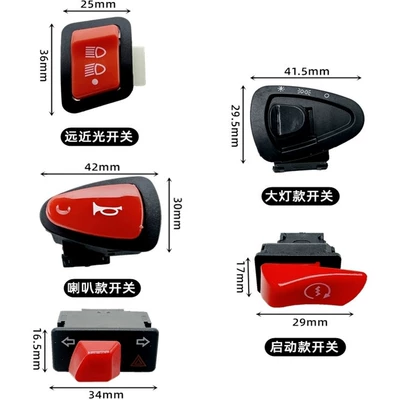 Switches for Speed Control and Steering, Other Electric Vehicle Accessories