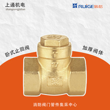 瑞格铜阀门黄铜卧式止回阀立式单向阀四川仓储现货速发防回流