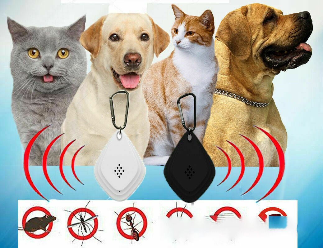 hmqViviiyNSAyin9WuaSt/MGUREFducToerU