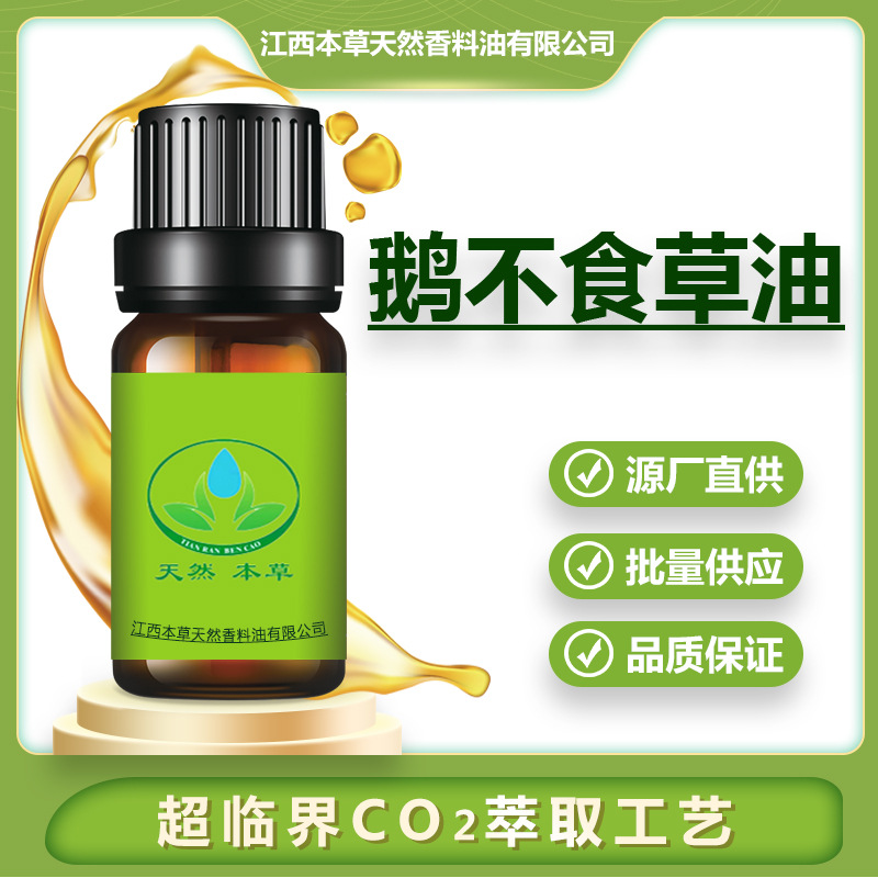 厂家批发鹅不食草油鹅不食草精油超临界萃取按摩养生香薰芳疗原料
