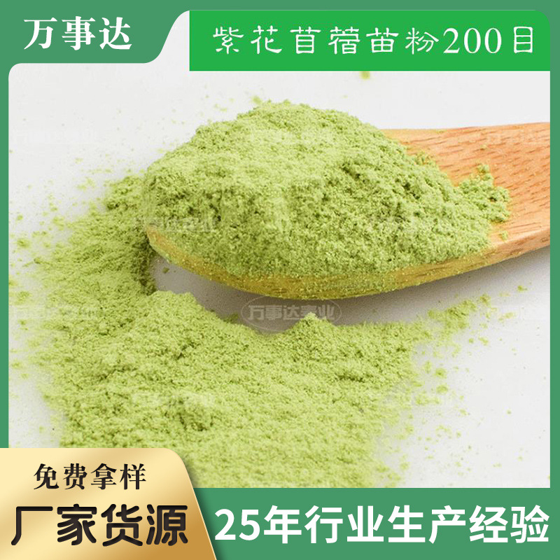 苜蓿苗粉200目 28年源头工厂 自有基地种植紫花苜蓿粉固体饮料