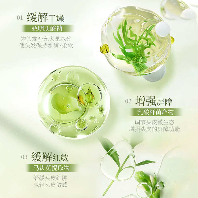 LVFE manejo del cuero cabelludo Fengfeng shampoo sin lavado control de aceite flojo mejora la calidad del cabello seco, eliminación de caspa, fragancia duradera image 5