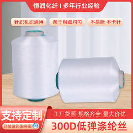 工厂现货毛毯用大有光300D96F低弹网络丝涤纶丝DTY熔体纺