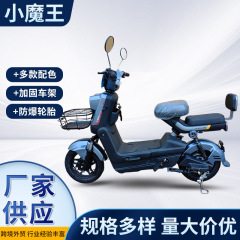 成人代歩電動自転車48V鉛電池男女通行電気自動車二輪電動アシスト車