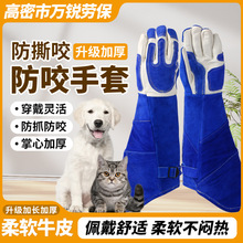 ������ץҧţƤ���� ���L�Ӻ�Ӗ���Z�ߌ������� ������÷��o����